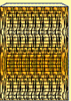 tijger