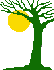 de maan schijnt door de bomen lied